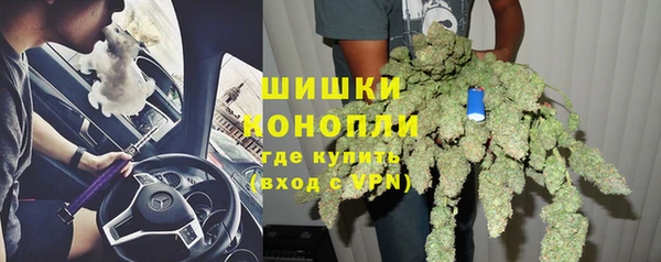 твердый Бородино