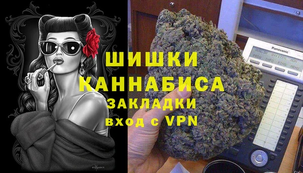 твердый Бородино